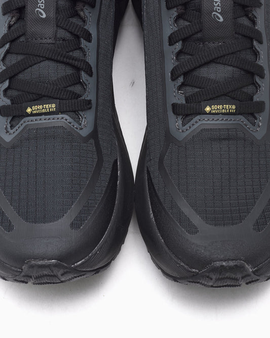 ASICS Novablast 6 Gore-Tex® "Black" 1011C256-001 — 2