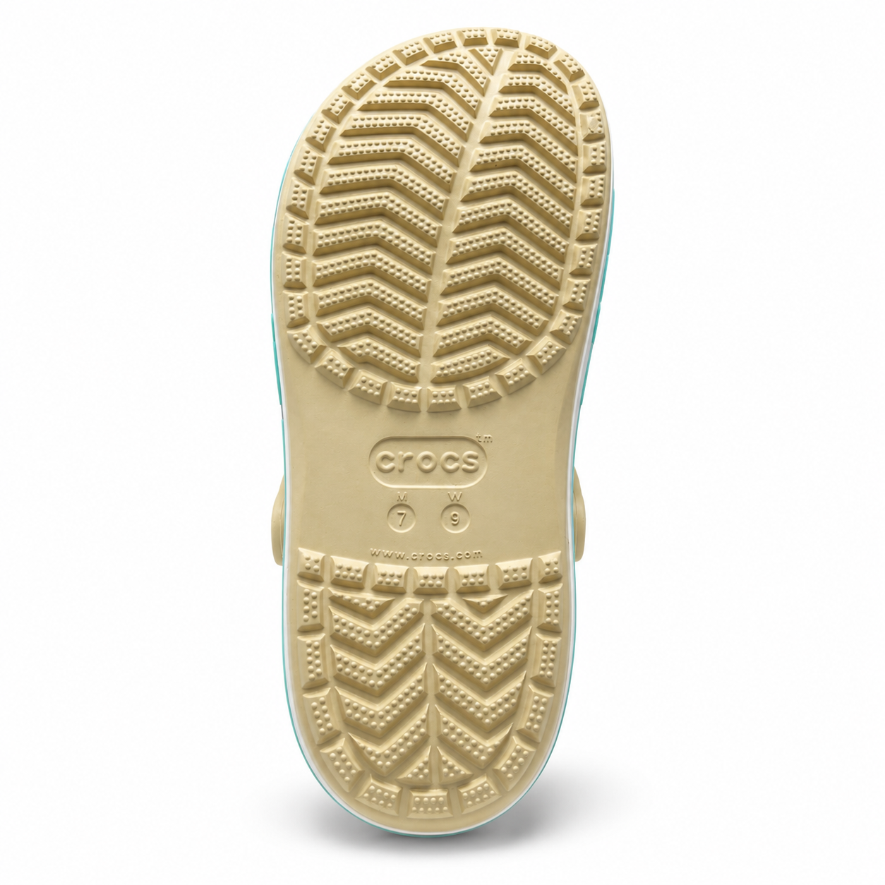 White Blue Crocs image 4