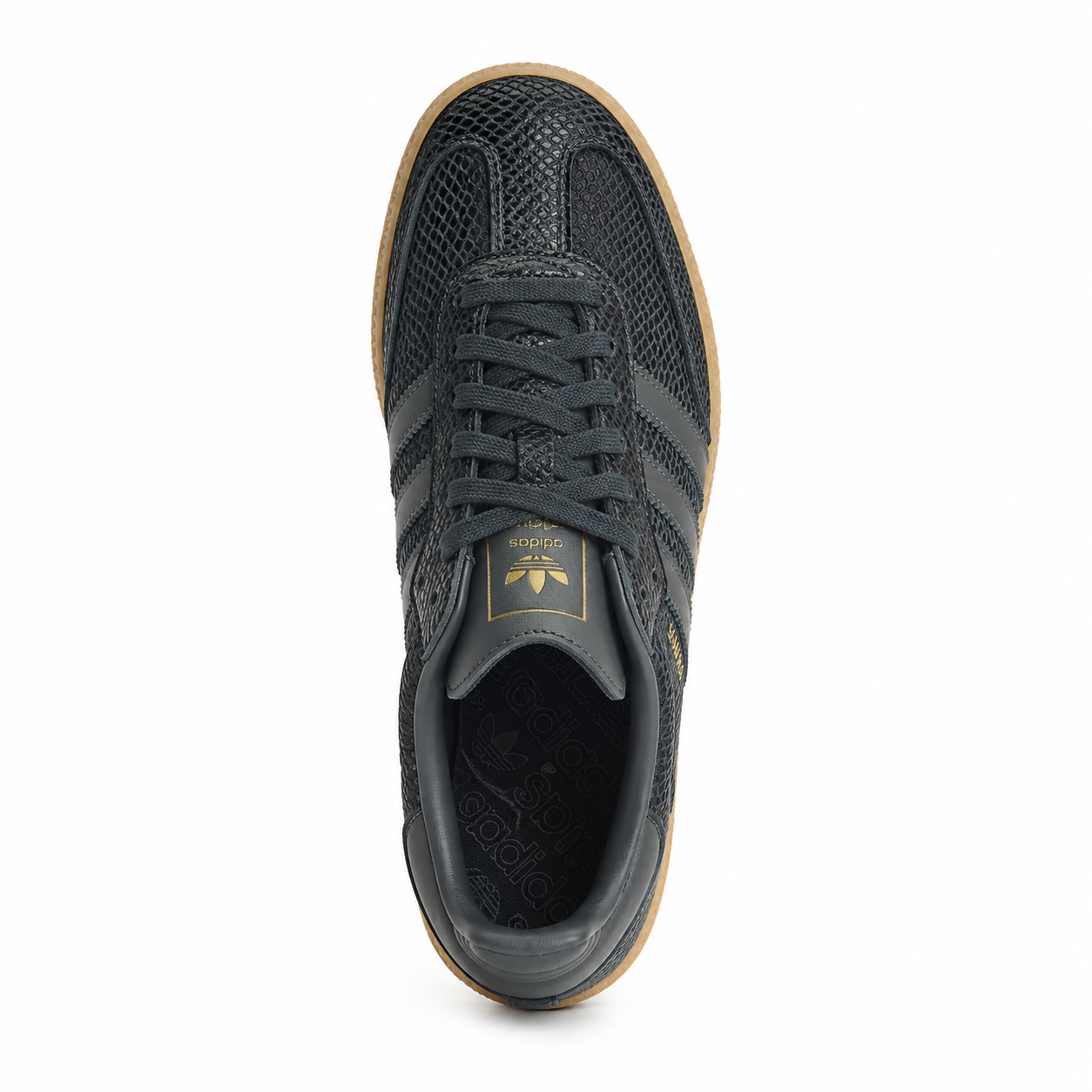 Samba Gazelle 3