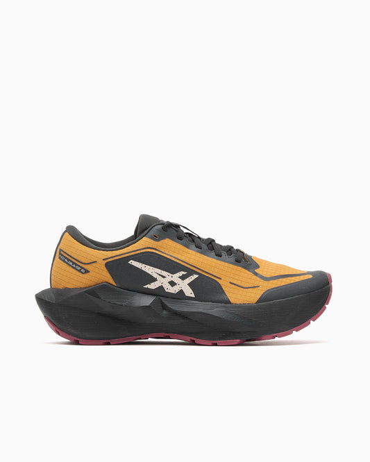 ASICS Novablast 6 Gore-Tex® 1011C256-800 — 1