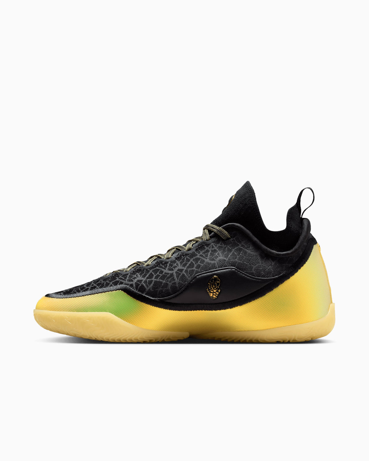 Nike LeBron 23 Elite "Hurt Feelings Write History" IB9557-002 — 3